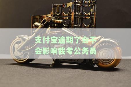 支付宝逾期是否会影响考公务员？政审会受其影响吗？