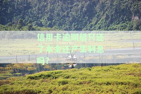 信用卡逾期后只还了本金还产生利息吗?
