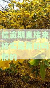 中信逾期直接来单位核实是真的吗还是假的