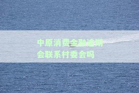 中原消费金融逾期是否会联系村委会？家访或上门催收风险需警惕