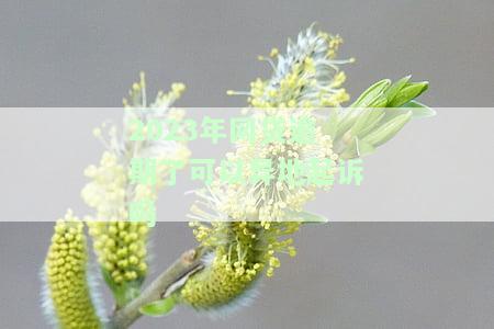 2023年网贷逾期了可以异地起诉吗
