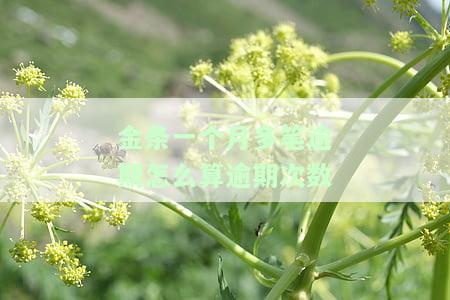 金条逾期一天和一个月的性质及后果：一样吗？有何风险？如何解决？