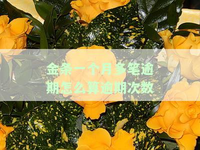 金条一个月多笔逾期怎么算逾期次数