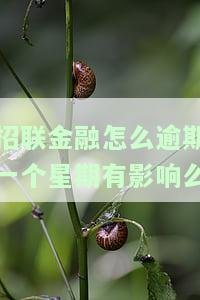 招联金融怎么逾期一个星期有影响么