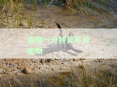逾期一分钟算不算逾期-逾期一分钟算不算逾期了