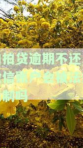 拍拍贷逾期不还,微信账户会被法院限制吗