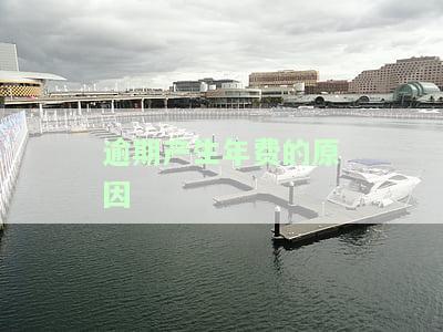 逾期产生年费的原因及影响：逾期、年费与征信的关系