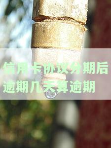 信用卡协议分期后逾期几天算逾期