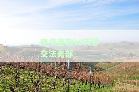 网贷逾期90天后被移交法务部：处理方法及应对策略