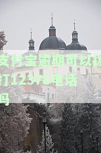 支付宝逾期可以拨打12378电话吗