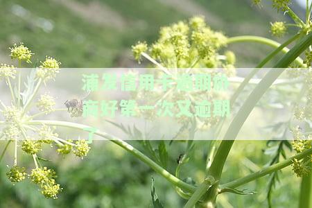 浦发协商后逾期是否可以再次协商？了解相关政策及处理方法