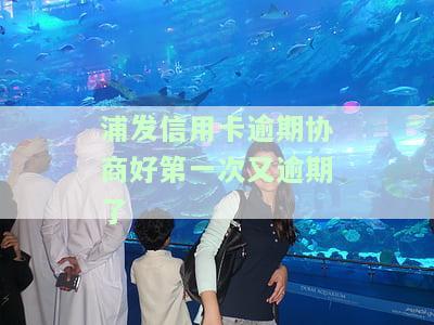 浦发信用卡逾期协商好第一次又逾期了-浦发信用卡逾期协商好第一次又逾期了有影响吗