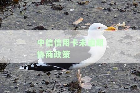 2021年中信信用卡逾期政策全解析：最新规定及查询方式