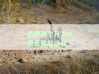 逾期360借条两个月不同意协商怎么办？电话不接会怎样，多久能自动扣款？