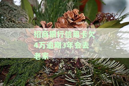 招商银行信用卡欠4万逾期3年会去老家