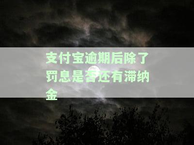 支付宝逾期罚息能免掉吗？如何通过95188协商解决借呗逾期问题？