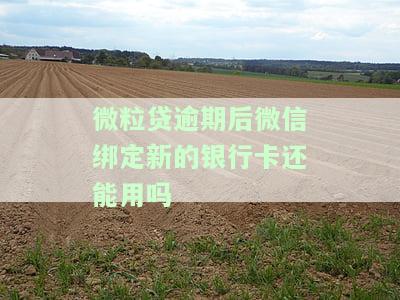 微粒贷逾期后微信绑定新的银行卡还能用吗