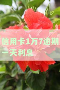 信用卡1万7逾期一天利息