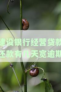 建设银行经营贷款还款有几天宽逾期