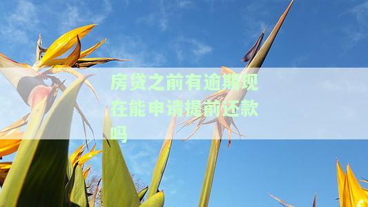 房贷之前有逾期现在能申请提前还款吗