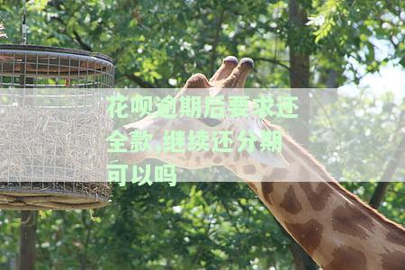 花呗逾期：必须先还清所有欠款才能分期？安全吗？
