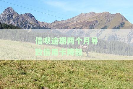 借呗逾期两个月导致信用卡降额
