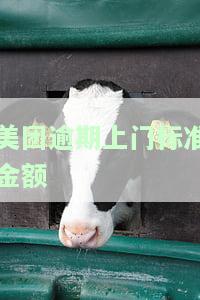 美团逾期上门标准金额