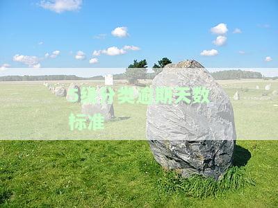 5级分类逾期天数标准及其划分与含义