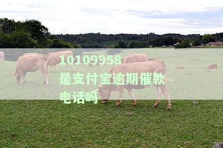 0102171是否为支付宝催收？还有哪些号码属于支付宝催收？