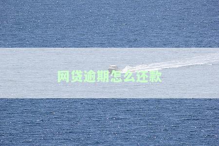 网贷逾期怎么还款