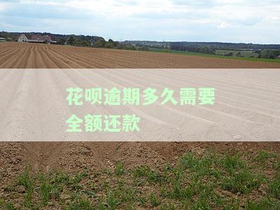 花呗逾期多久会全额还款？影响及解决方法
