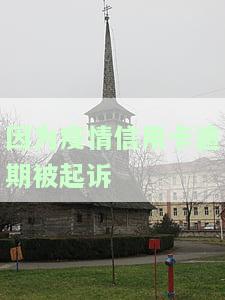 因为疫情信用卡逾期被起诉