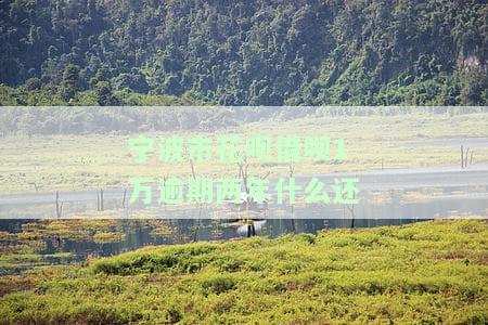 宁波市花呗借呗1万逾期两年什么还