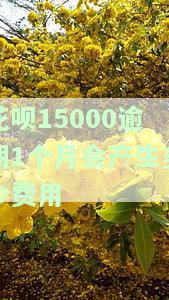 花呗15000逾期1个月会产生多少费用