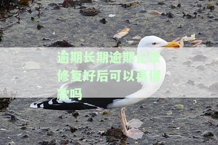逾期长期逾期记录修复好后可以再借款吗