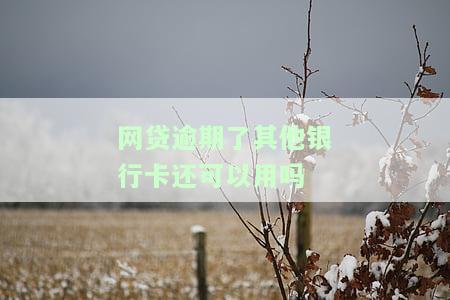 网贷逾期后，其他银行卡还能使用吗？知乎上有哪些解决方案？是否会冻结？