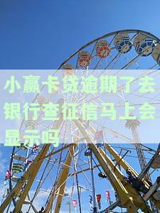 小赢卡贷逾期了去银行查征信马上会显示吗