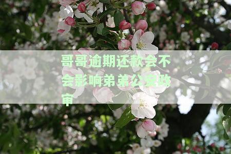 哥哥逾期还款是否会影响弟弟的公安政审？