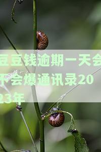 豆豆钱逾期一天会不会爆通讯录2023年