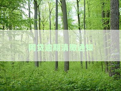 网贷逾期清缴通知的撰写方法与处理方式全解析