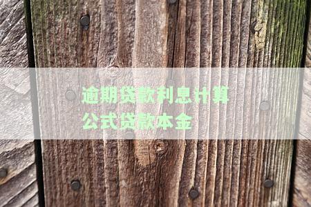贷款逾期本息计算器：在线计算、APP使用及利息详情一应俱全