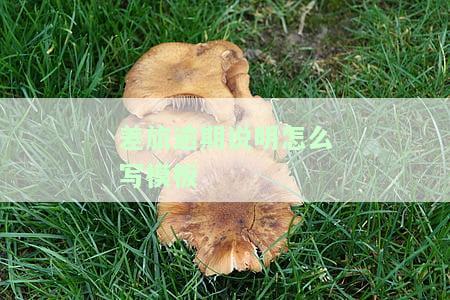 差旅逾期说明怎么写模板图片大全高清，完整版教程
