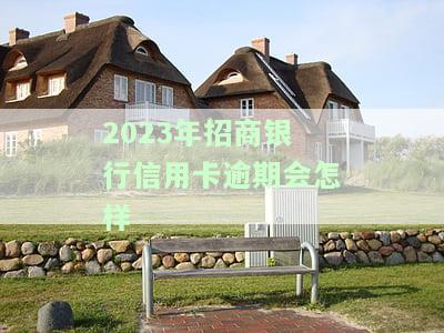 2023年招商银行信用卡逾期处罚政策全解析