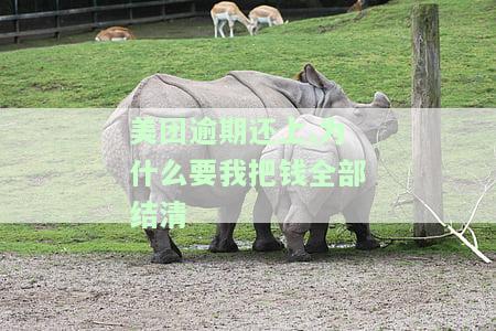 美团逾期还上,为什么要我把钱全部结清