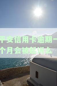 平安信用卡逾期一个月会被起诉么