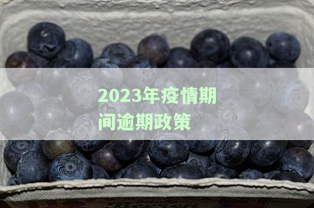 2023年疫情期间逾期政策-2023年疫情期间逾期政策有哪些