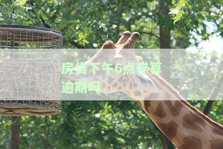 房贷下午6点存算逾期吗