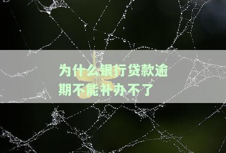 为什么银行贷款逾期不能补办不了-为什么银行贷款逾期不能补办不了怎么办
