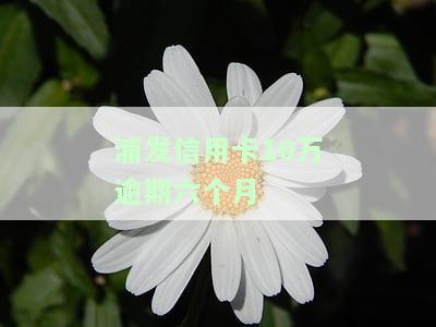 浦发信用卡10万逾期六个月-浦发信用卡10万逾期六个月能还多少
