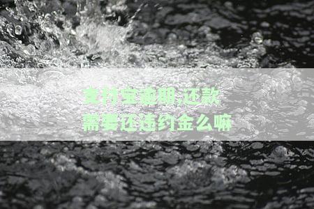 支付宝逾期,还款需要还违约金么嘛